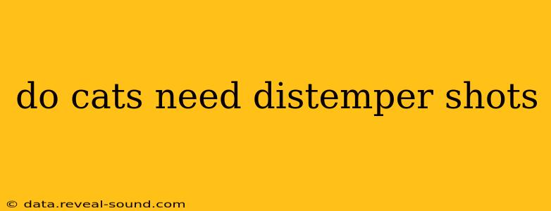 do cats need distemper shots