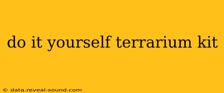 do it yourself terrarium kit