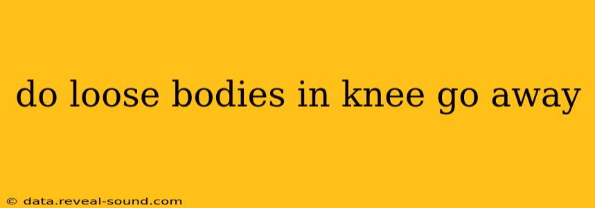 do loose bodies in knee go away