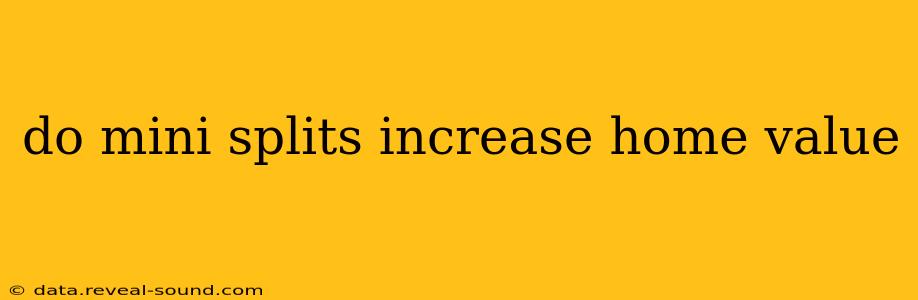 do mini splits increase home value
