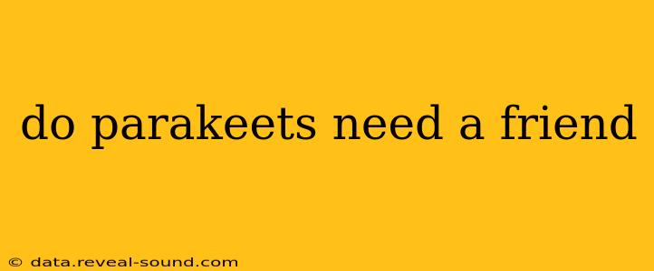 do parakeets need a friend