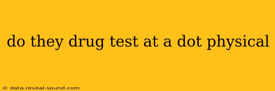 do they drug test at a dot physical