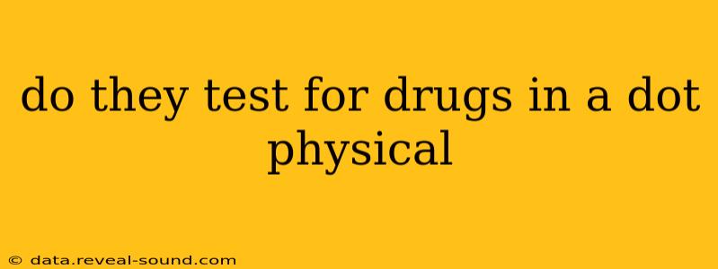 do they test for drugs in a dot physical