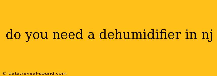 do you need a dehumidifier in nj