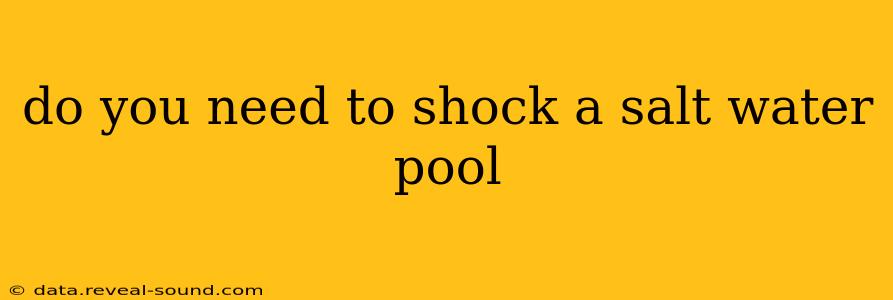 do you need to shock a salt water pool