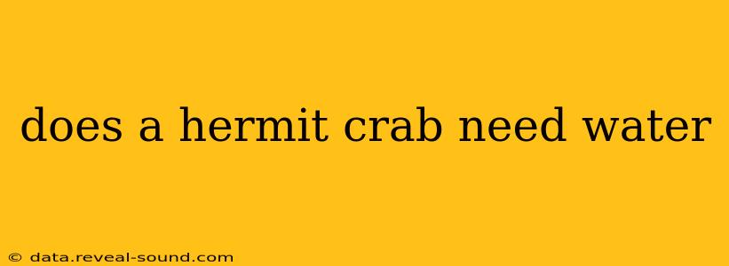 does a hermit crab need water