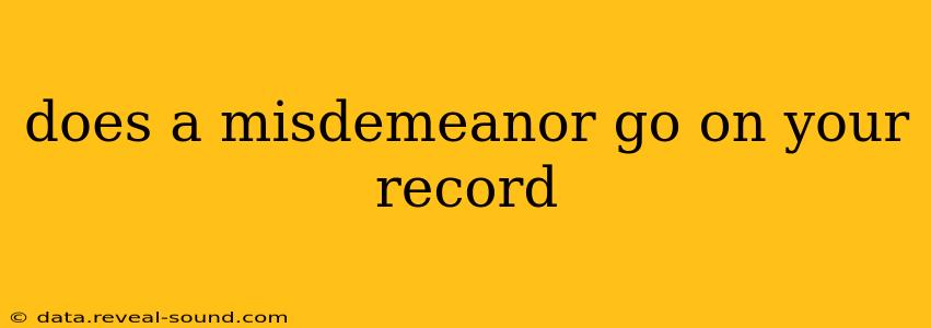 does a misdemeanor go on your record