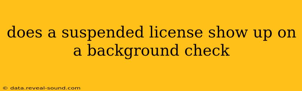 does a suspended license show up on a background check
