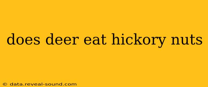 does deer eat hickory nuts