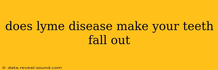does lyme disease make your teeth fall out