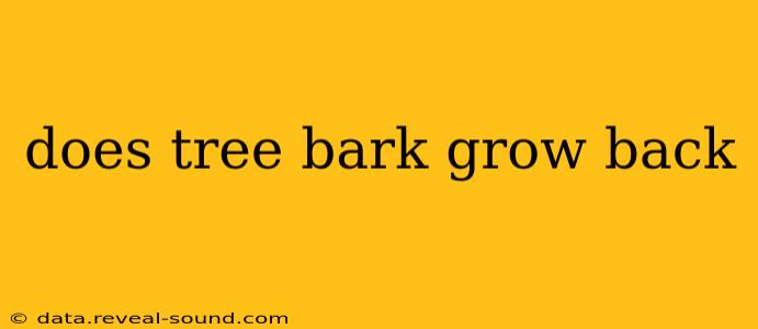 does tree bark grow back