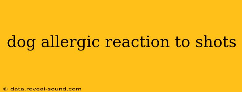 dog allergic reaction to shots