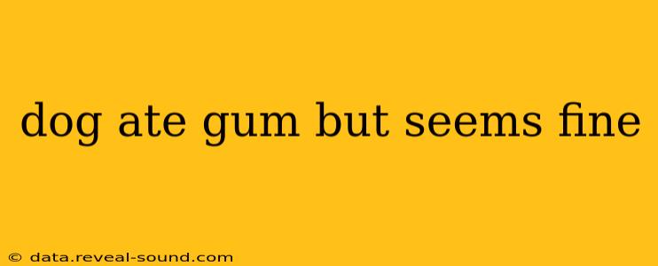 dog ate gum but seems fine