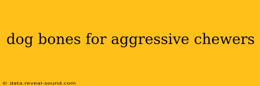 dog bones for aggressive chewers