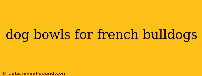 dog bowls for french bulldogs