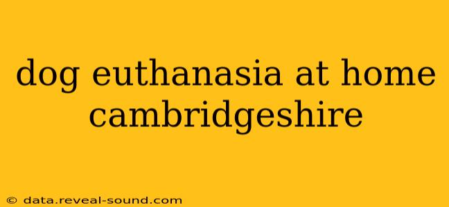 dog euthanasia at home cambridgeshire