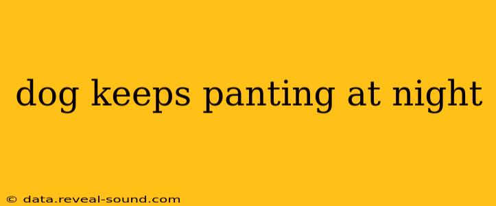 dog keeps panting at night