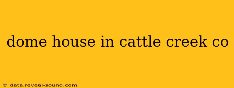 dome house in cattle creek co