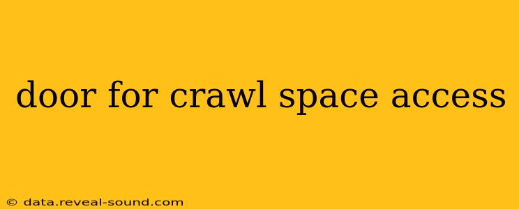 door for crawl space access