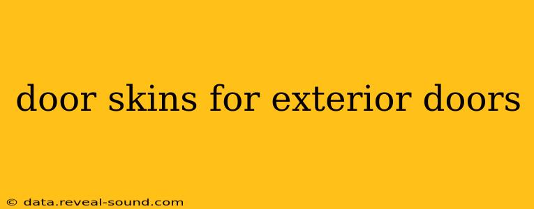 door skins for exterior doors