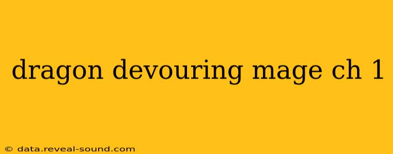 dragon devouring mage ch 1