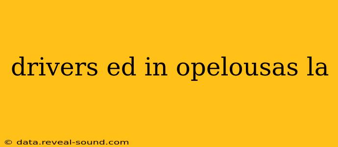 drivers ed in opelousas la