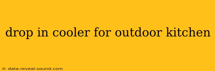 drop in cooler for outdoor kitchen