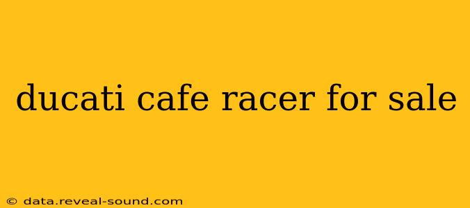 ducati cafe racer for sale
