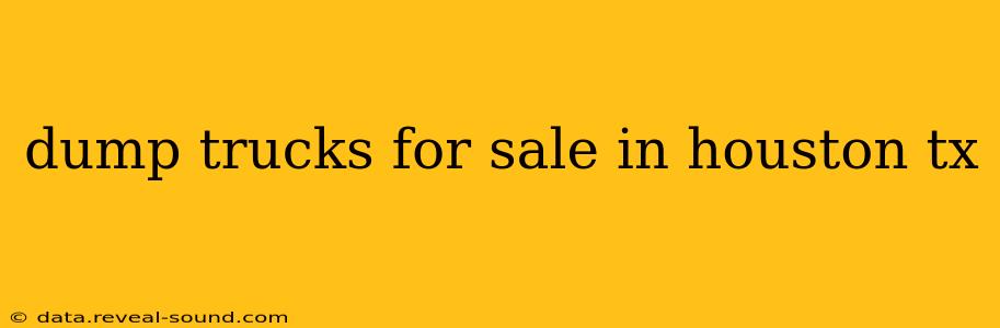 dump trucks for sale in houston tx