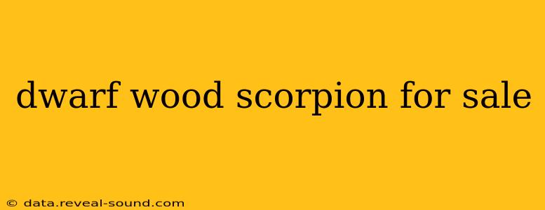 dwarf wood scorpion for sale