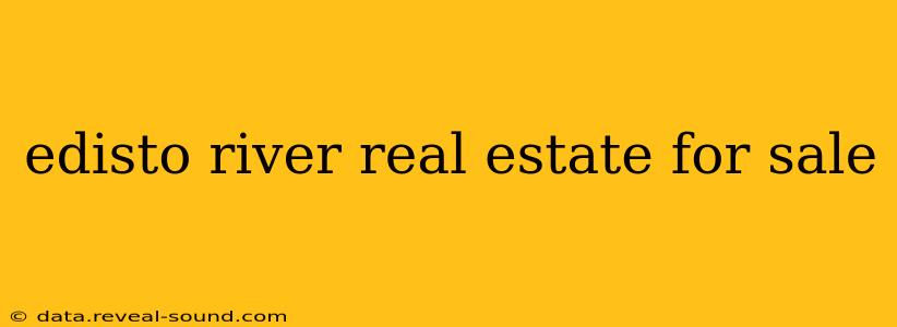edisto river real estate for sale