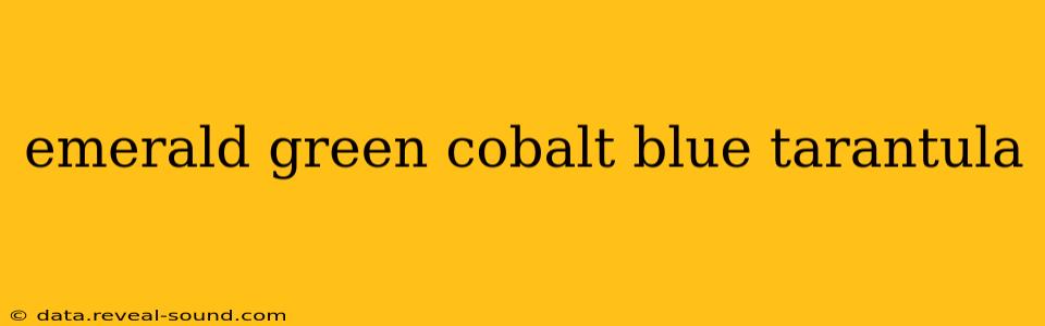 emerald green cobalt blue tarantula