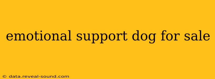 emotional support dog for sale