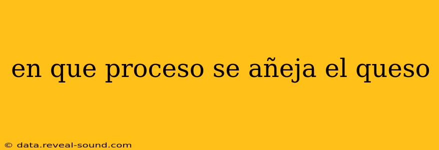 en que proceso se añeja el queso