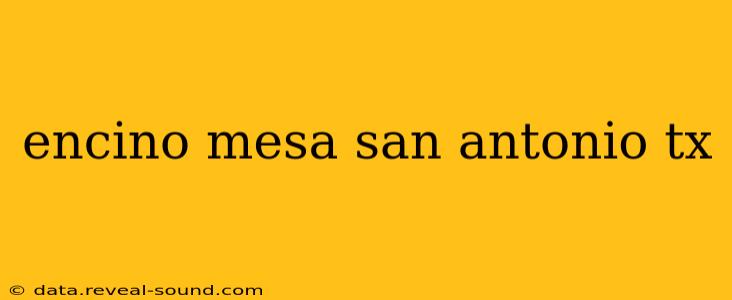 encino mesa san antonio tx