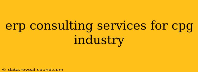erp consulting services for cpg industry