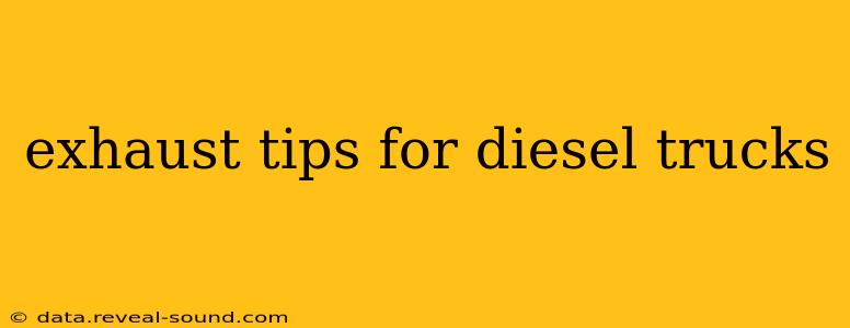 exhaust tips for diesel trucks