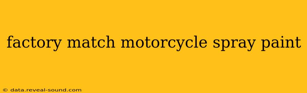 factory match motorcycle spray paint