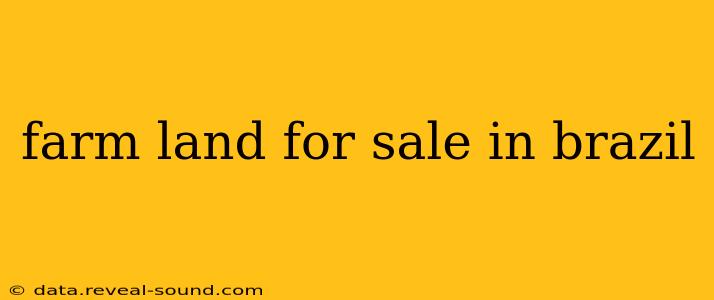 farm land for sale in brazil