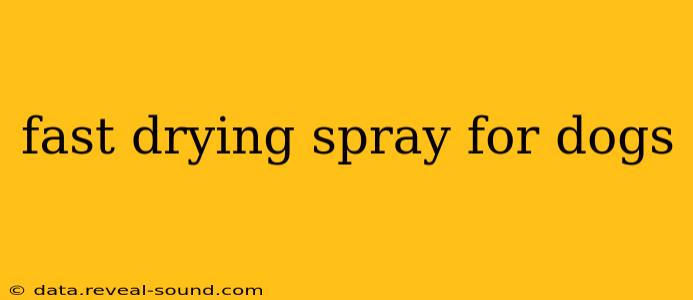 fast drying spray for dogs
