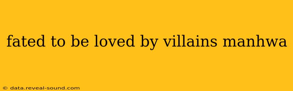 fated to be loved by villains manhwa