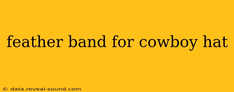 feather band for cowboy hat