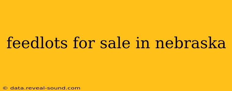 feedlots for sale in nebraska