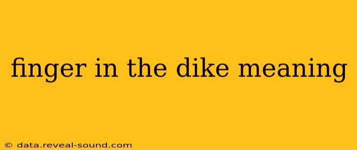 finger in the dike meaning