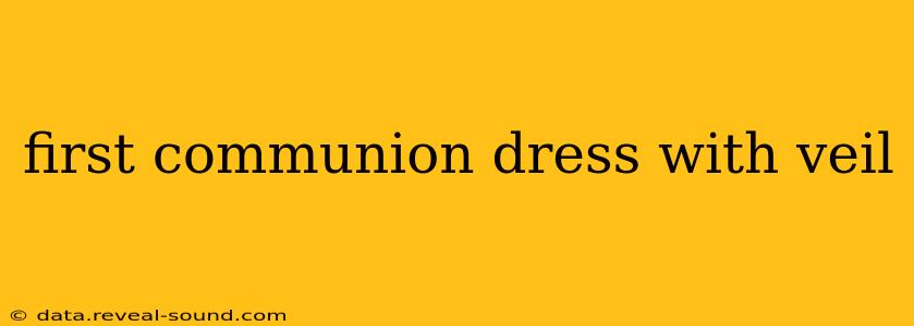 first communion dress with veil