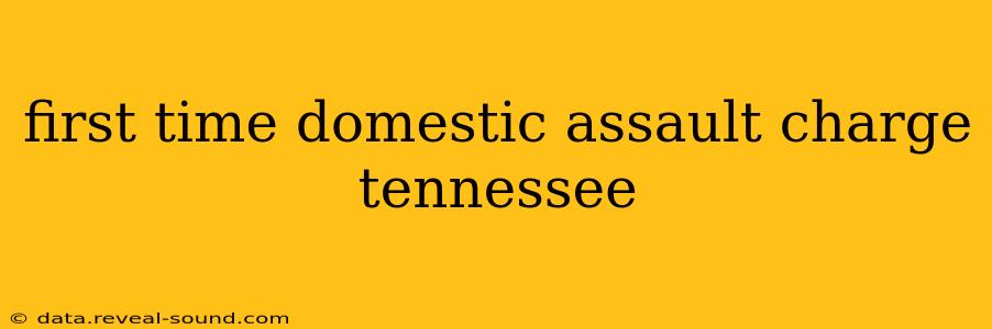 first time domestic assault charge tennessee