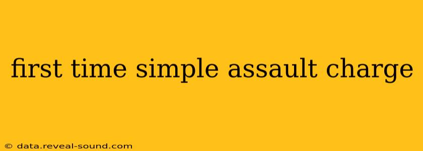 first time simple assault charge