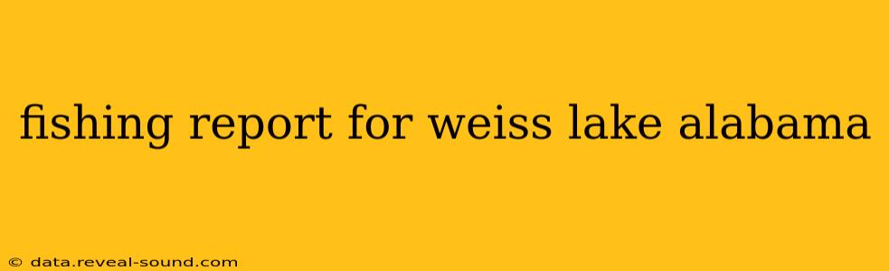 fishing report for weiss lake alabama