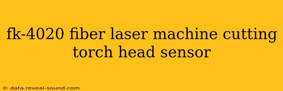 fk-4020 fiber laser machine cutting torch head sensor
