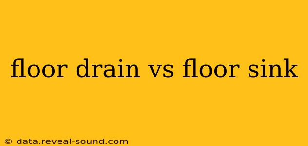 floor drain vs floor sink
